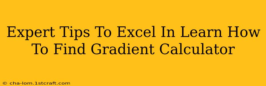 Expert Tips To Excel In Learn How To Find Gradient Calculator