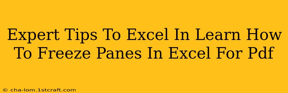 Expert Tips To Excel In Learn How To Freeze Panes In Excel For Pdf