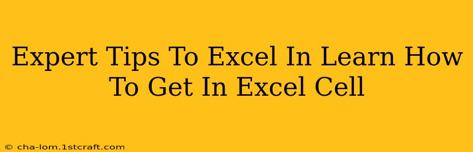 Expert Tips To Excel In Learn How To Get In Excel Cell