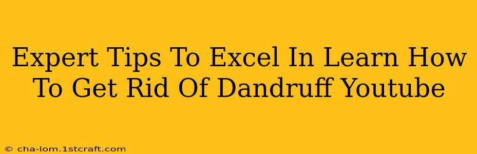 Expert Tips To Excel In Learn How To Get Rid Of Dandruff Youtube