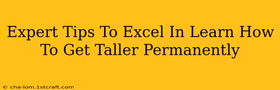 Expert Tips To Excel In Learn How To Get Taller Permanently