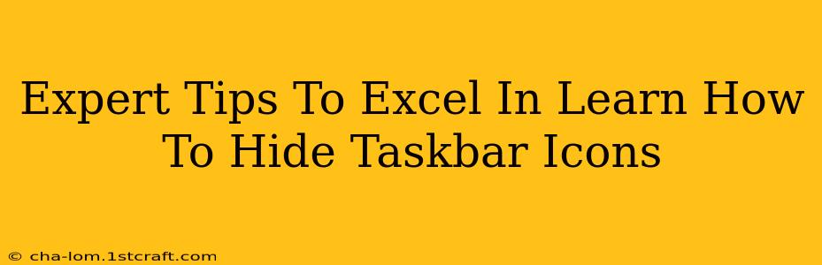 Expert Tips To Excel In Learn How To Hide Taskbar Icons