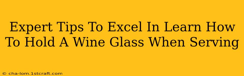 Expert Tips To Excel In Learn How To Hold A Wine Glass When Serving