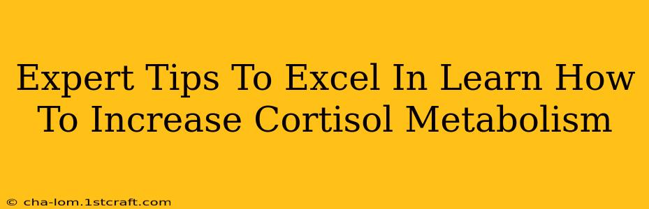 Expert Tips To Excel In Learn How To Increase Cortisol Metabolism