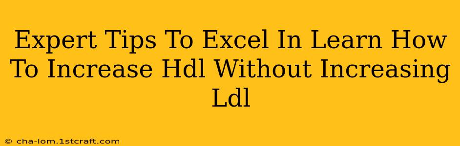 Expert Tips To Excel In Learn How To Increase Hdl Without Increasing Ldl