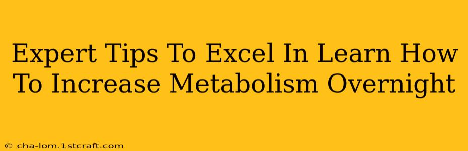 Expert Tips To Excel In Learn How To Increase Metabolism Overnight