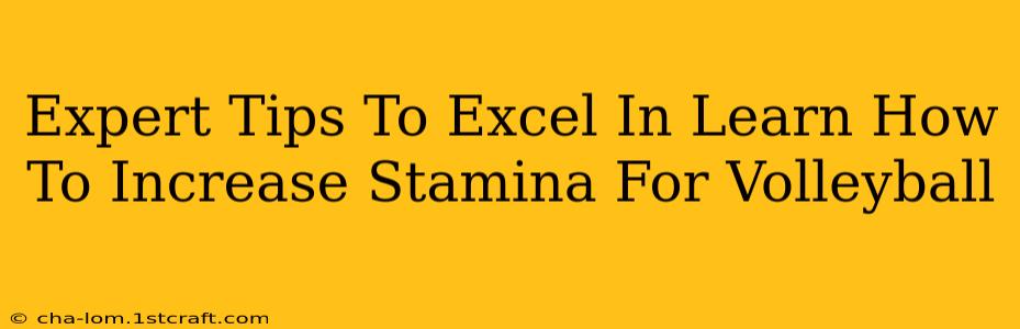 Expert Tips To Excel In Learn How To Increase Stamina For Volleyball