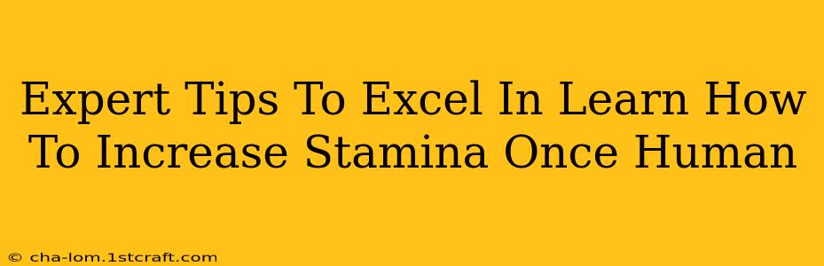 Expert Tips To Excel In Learn How To Increase Stamina Once Human