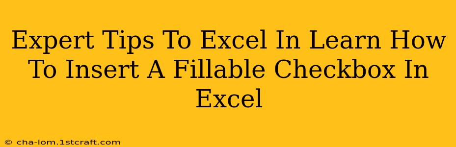 Expert Tips To Excel In Learn How To Insert A Fillable Checkbox In Excel