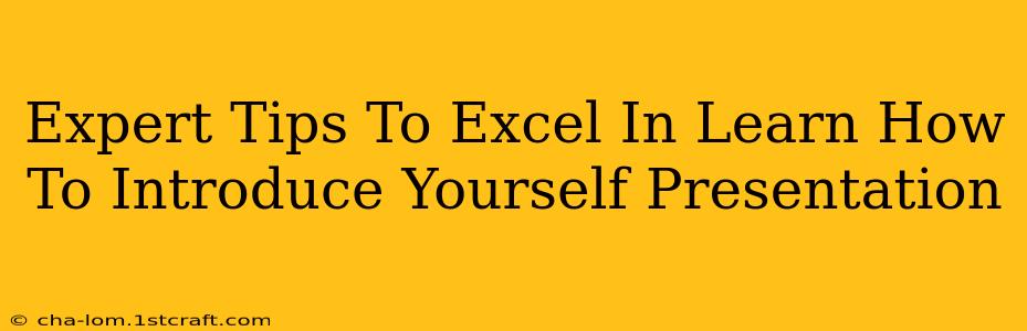 Expert Tips To Excel In Learn How To Introduce Yourself Presentation