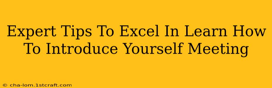 Expert Tips To Excel In Learn How To Introduce Yourself Meeting