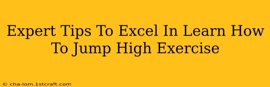 Expert Tips To Excel In Learn How To Jump High Exercise