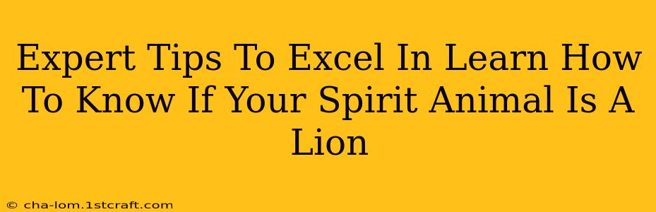 Expert Tips To Excel In Learn How To Know If Your Spirit Animal Is A Lion