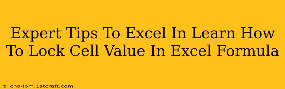 Expert Tips To Excel In Learn How To Lock Cell Value In Excel Formula