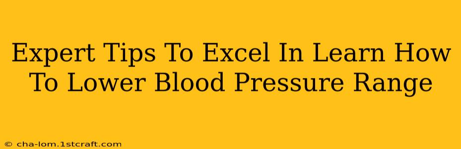 Expert Tips To Excel In Learn How To Lower Blood Pressure Range