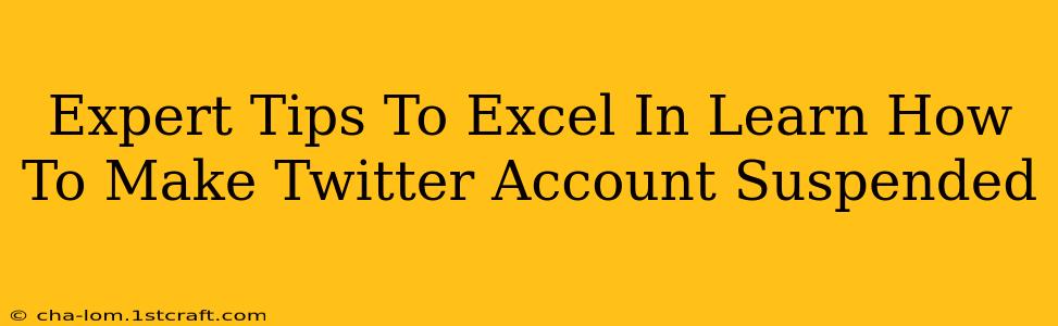 Expert Tips To Excel In Learn How To Make Twitter Account Suspended