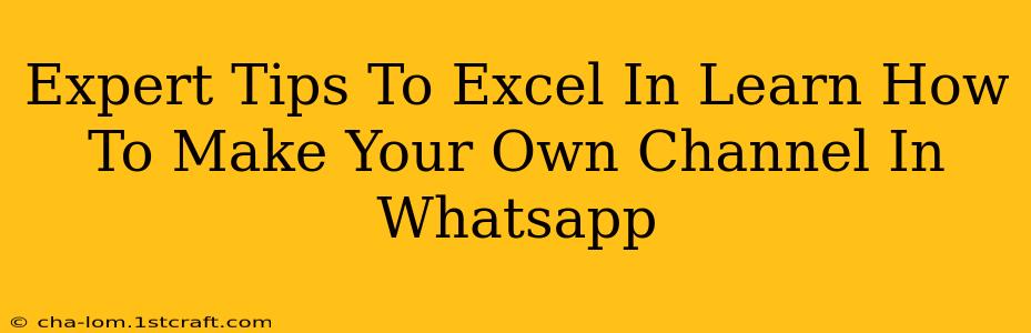 Expert Tips To Excel In Learn How To Make Your Own Channel In Whatsapp