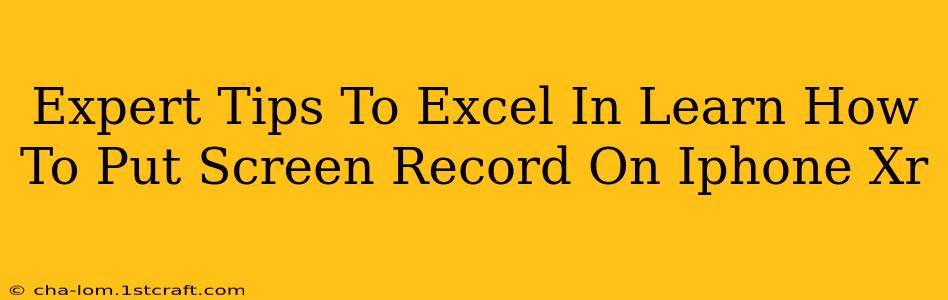 Expert Tips To Excel In Learn How To Put Screen Record On Iphone Xr