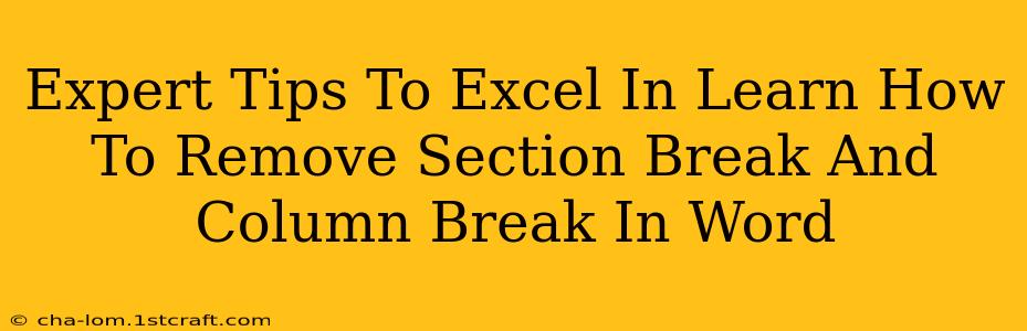 Expert Tips To Excel In Learn How To Remove Section Break And Column Break In Word