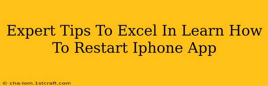 Expert Tips To Excel In Learn How To Restart Iphone App