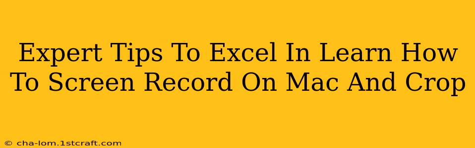 Expert Tips To Excel In Learn How To Screen Record On Mac And Crop