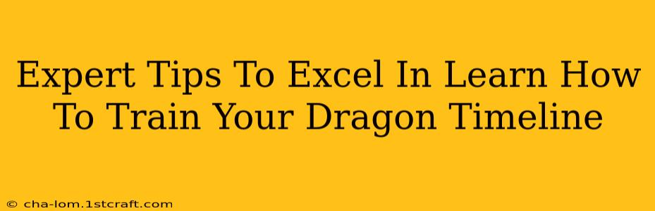 Expert Tips To Excel In Learn How To Train Your Dragon Timeline