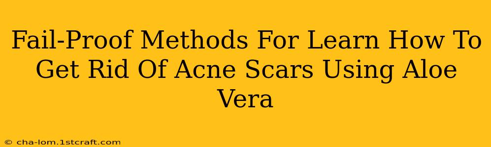 Fail-Proof Methods For Learn How To Get Rid Of Acne Scars Using Aloe Vera