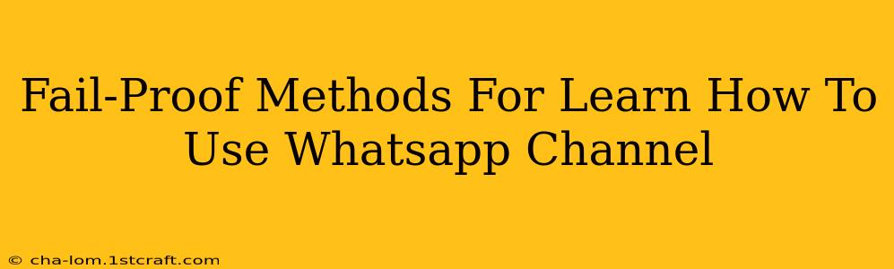 Fail-Proof Methods For Learn How To Use Whatsapp Channel