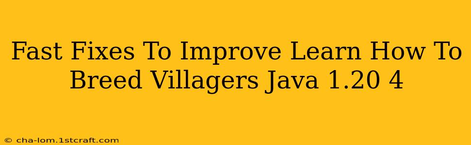 Fast Fixes To Improve Learn How To Breed Villagers Java 1.20 4