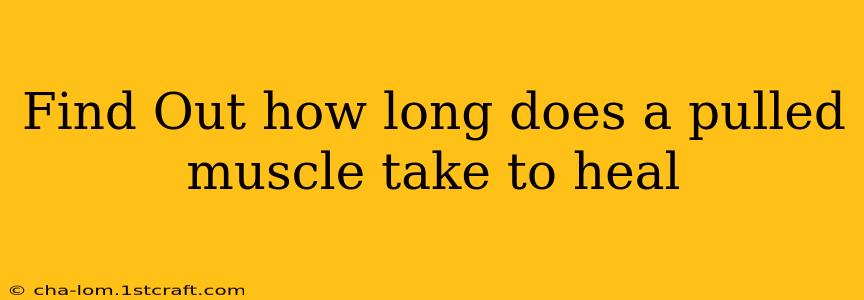 Find Out How Long Does A Pulled Muscle Take To Heal