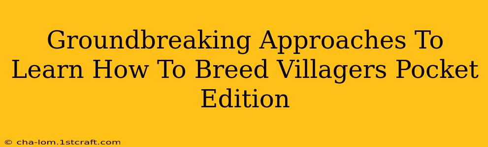 Groundbreaking Approaches To Learn How To Breed Villagers Pocket Edition