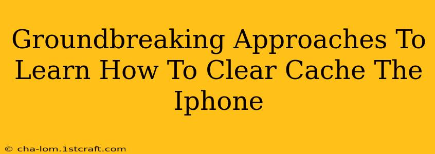 Groundbreaking Approaches To Learn How To Clear Cache The Iphone