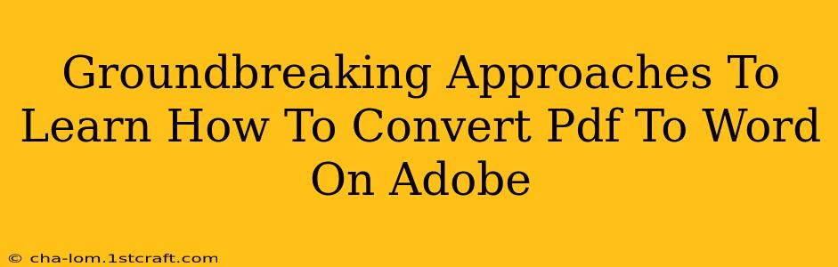 Groundbreaking Approaches To Learn How To Convert Pdf To Word On Adobe