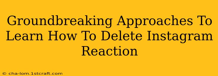 Groundbreaking Approaches To Learn How To Delete Instagram Reaction