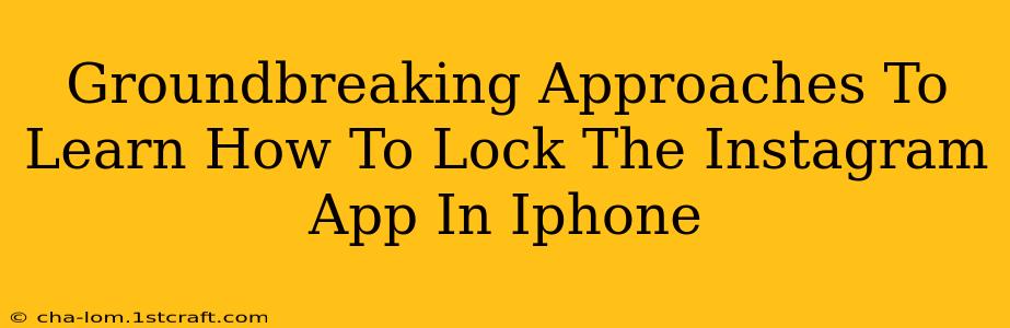 Groundbreaking Approaches To Learn How To Lock The Instagram App In Iphone