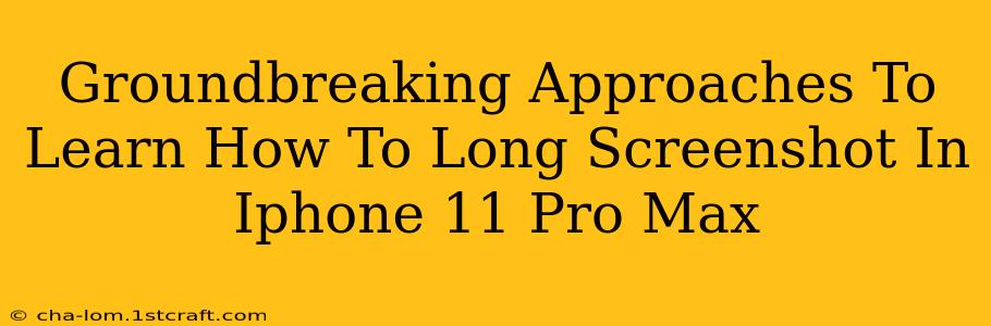 Groundbreaking Approaches To Learn How To Long Screenshot In Iphone 11 Pro Max