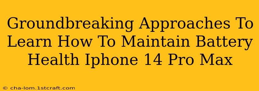 Groundbreaking Approaches To Learn How To Maintain Battery Health Iphone 14 Pro Max