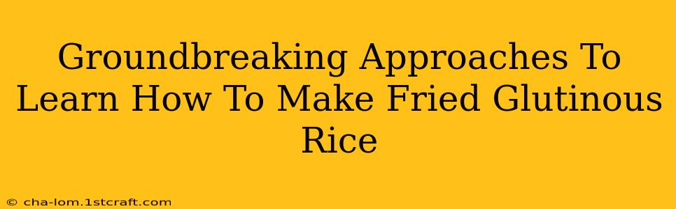 Groundbreaking Approaches To Learn How To Make Fried Glutinous Rice