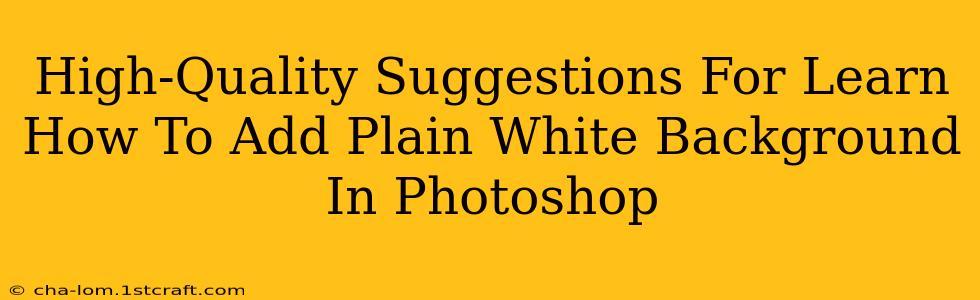 High-Quality Suggestions For Learn How To Add Plain White Background In Photoshop