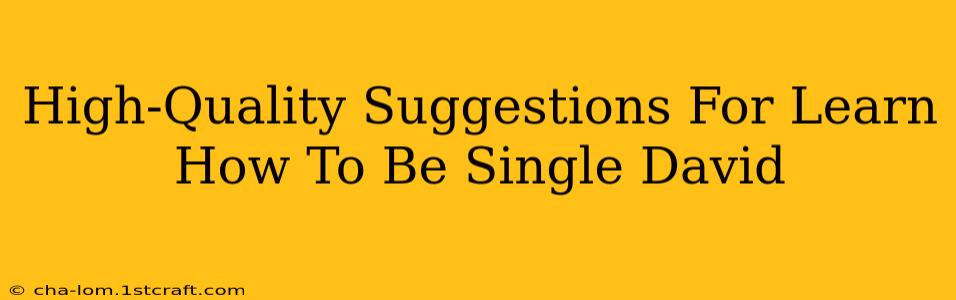 High-Quality Suggestions For Learn How To Be Single David