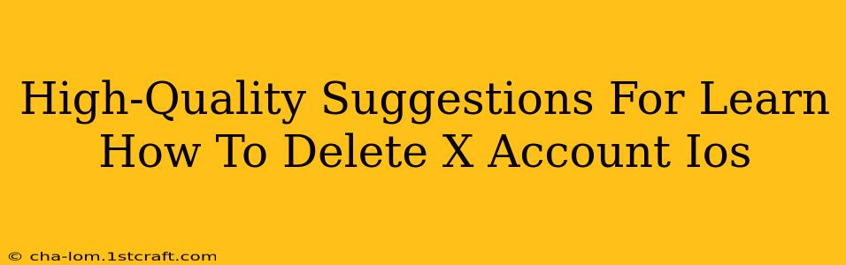 High-Quality Suggestions For Learn How To Delete X Account Ios