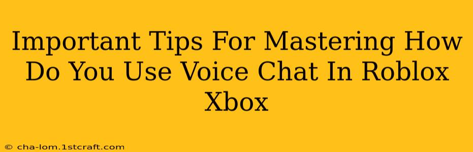 Important Tips For Mastering How Do You Use Voice Chat In Roblox Xbox