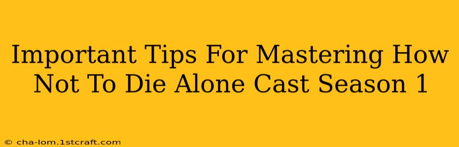 Important Tips For Mastering How Not To Die Alone Cast Season 1