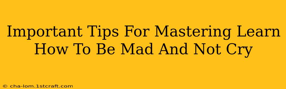 Important Tips For Mastering Learn How To Be Mad And Not Cry