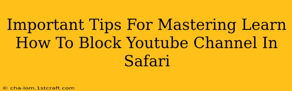 Important Tips For Mastering Learn How To Block Youtube Channel In Safari