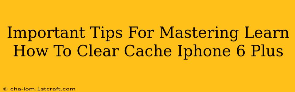 Important Tips For Mastering Learn How To Clear Cache Iphone 6 Plus