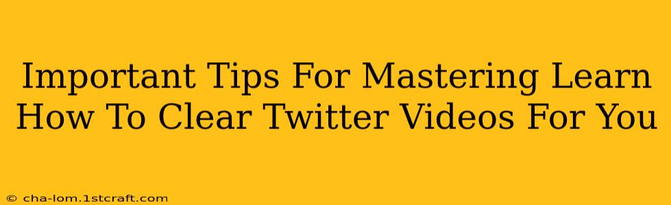 Important Tips For Mastering Learn How To Clear Twitter Videos For You