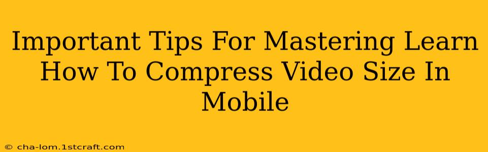 Important Tips For Mastering Learn How To Compress Video Size In Mobile