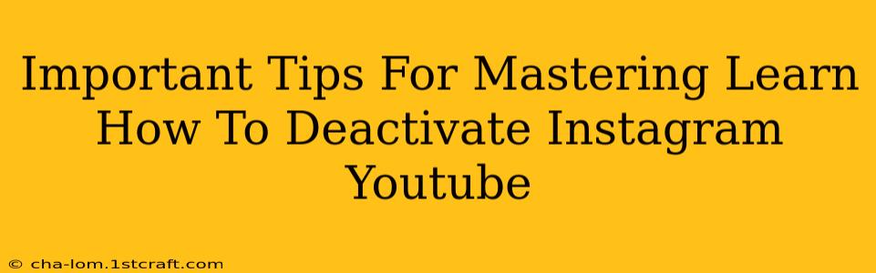 Important Tips For Mastering Learn How To Deactivate Instagram Youtube