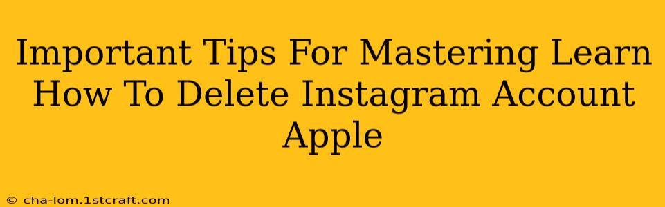 Important Tips For Mastering Learn How To Delete Instagram Account Apple